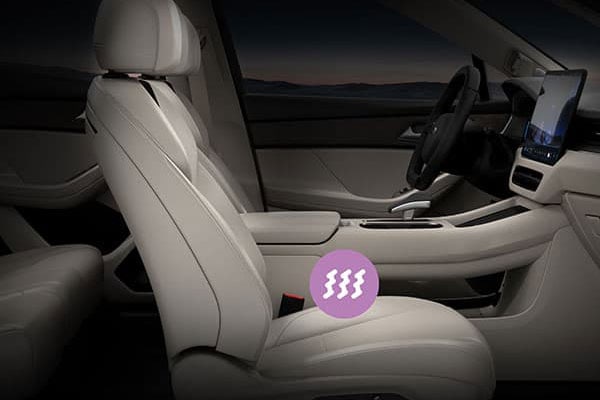 עיסוי למושבים*